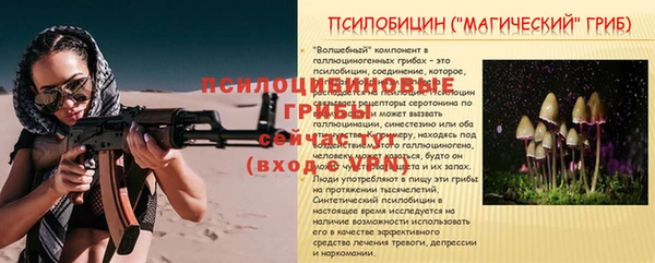 бошки Абинск
