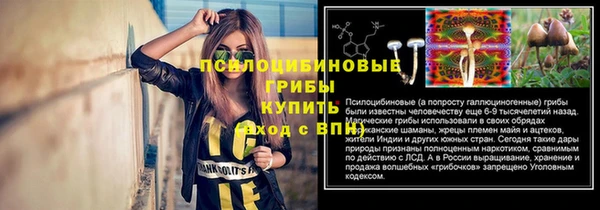бошки Абинск
