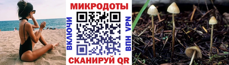 Псилоцибиновые грибы MAGIC MUSHROOMS  гидра как зайти  Барнаул 